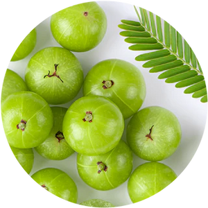 Amla