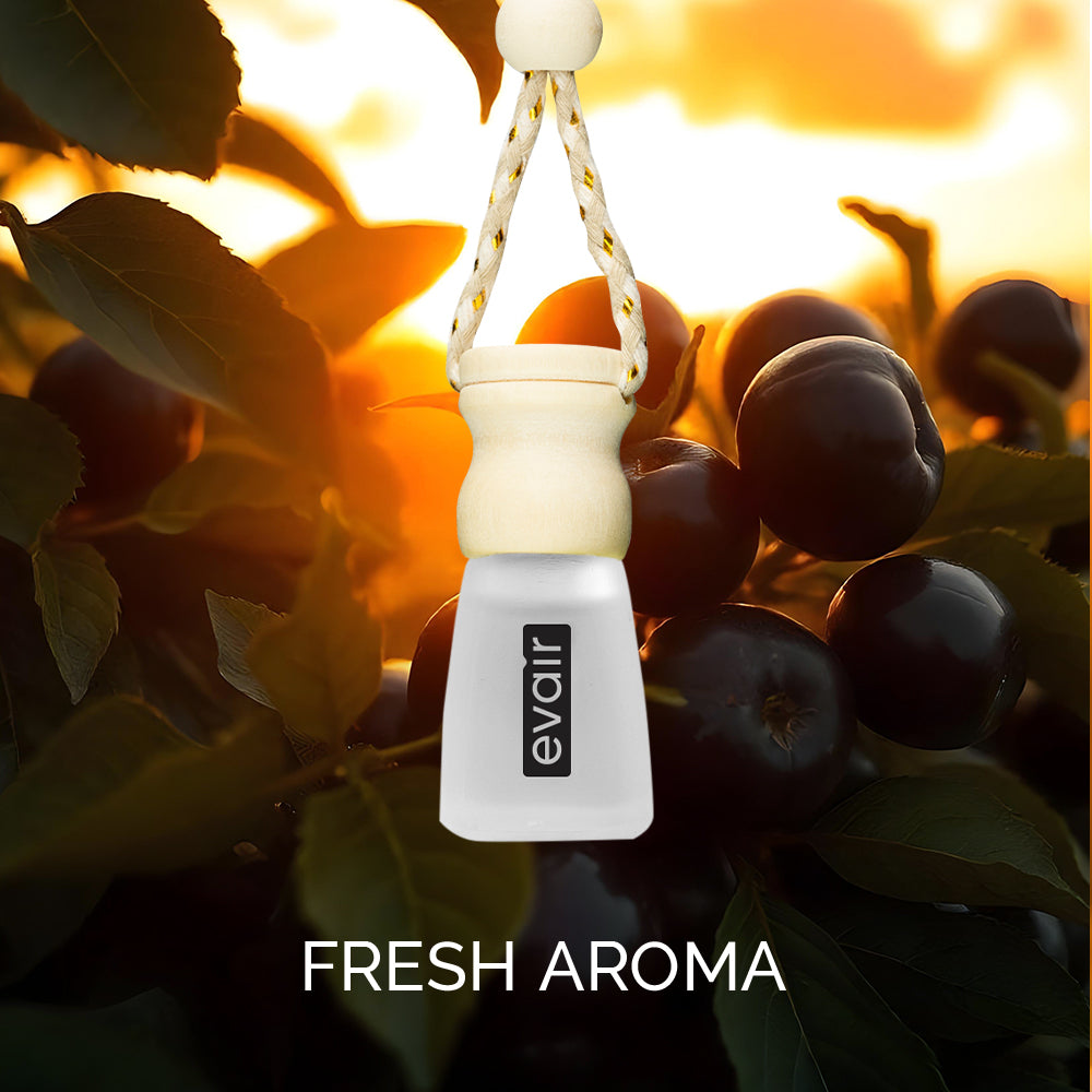 EVAIR Hanging Car Air Freshener | made with 100% Essential Oils| Premium Collection